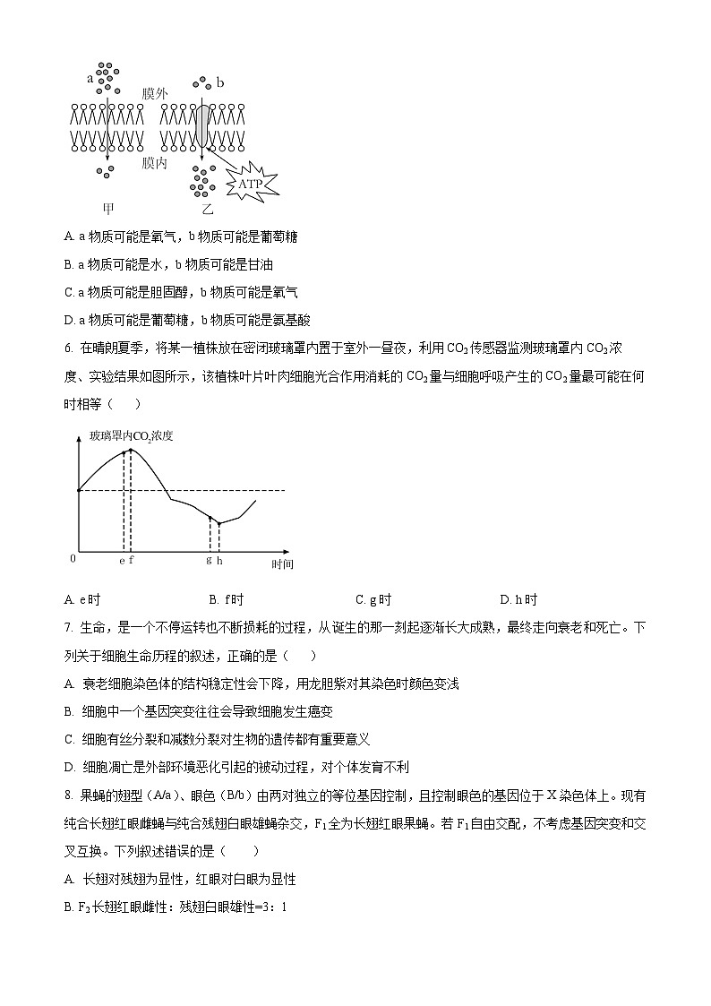 2024吴忠吴忠中学高三上学期开学第一次月考生物试题含解析02