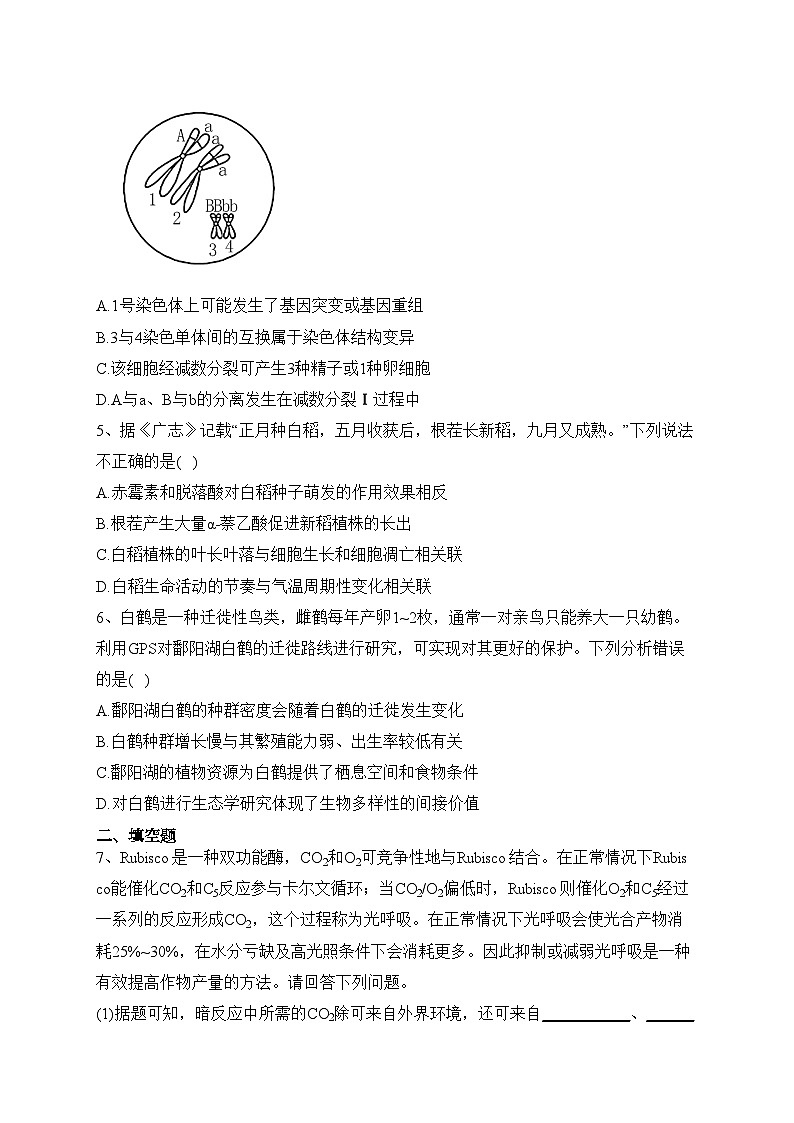 2023届山西省高三1月适应性调研考试(一模)理综生物试题(含答案)02
