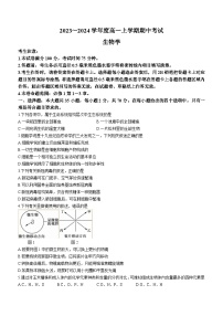 广东省深圳市联盟校2023-2024学年高一生物上学期11月期中考试试卷（Word版附答案）