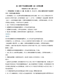 山东省潍坊市2023-2024学年高三上学期期中模拟考试生物试题（解析版）