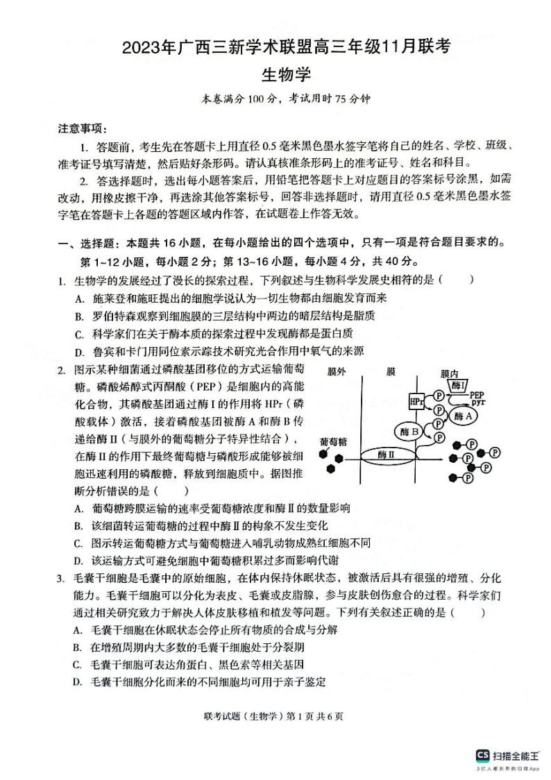 2024广西三新学术联盟高三上学期11月联考试题生物PDF版无答案01