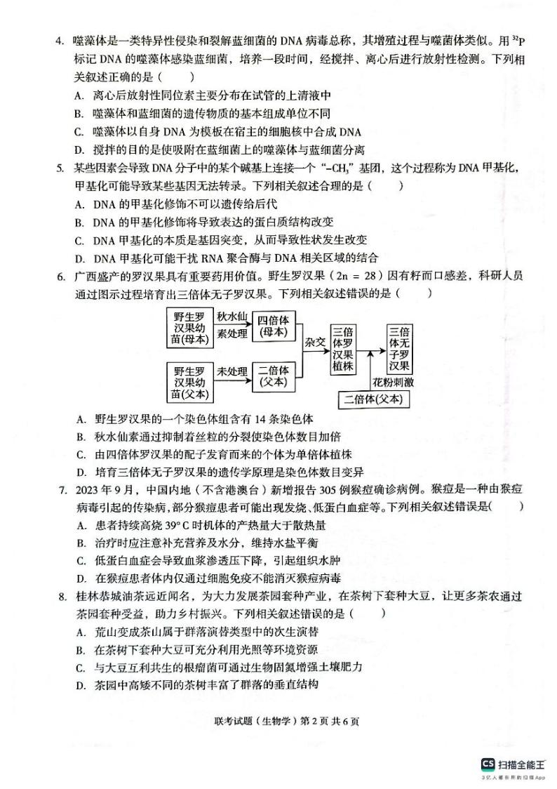 2024广西三新学术联盟高三上学期11月联考试题生物PDF版无答案02