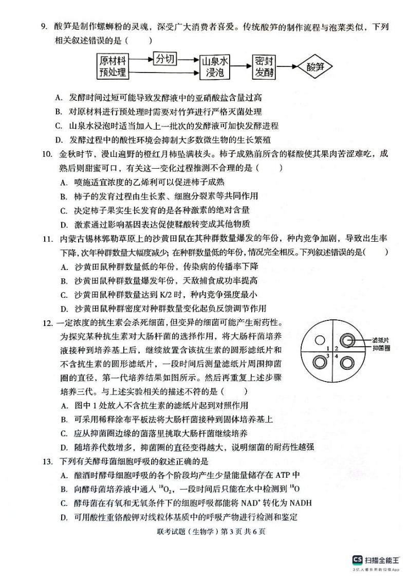 2024广西三新学术联盟高三上学期11月联考试题生物PDF版无答案03
