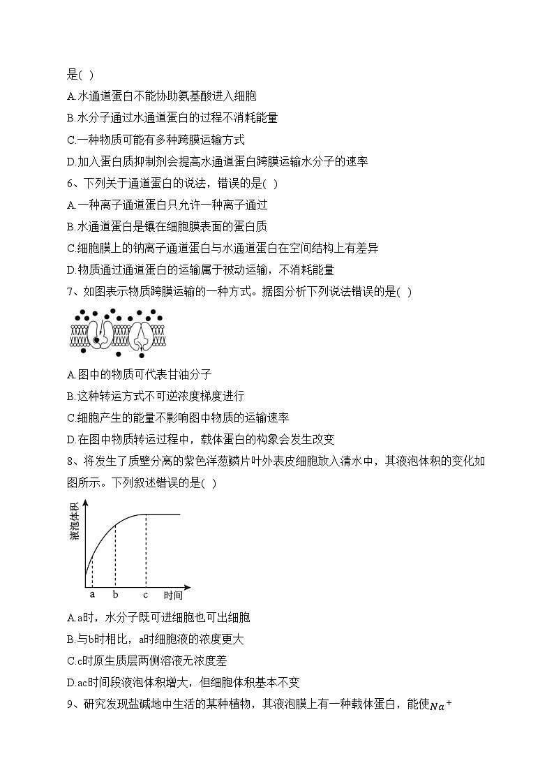 2023-2024学年高一生物人教版必修一(2019) 第四章 第1节 被动运输课时二(练习)(含答案)第2页