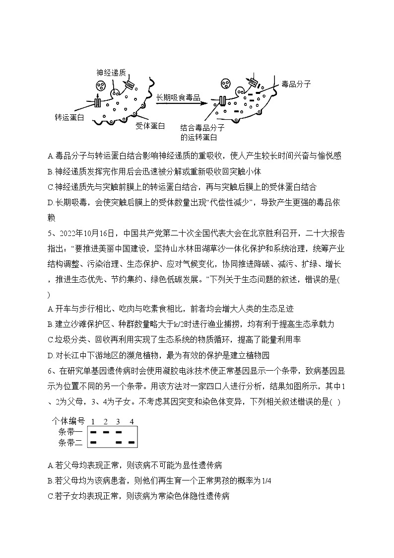 2023届陕西省咸阳市高考模拟检测（二）理综生物试题(含答案)02