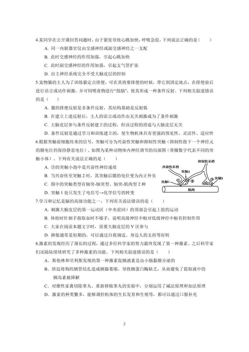 2024广东实验中学高二上学期期中考试生物PDF版含答案、答题卡（可编辑）02