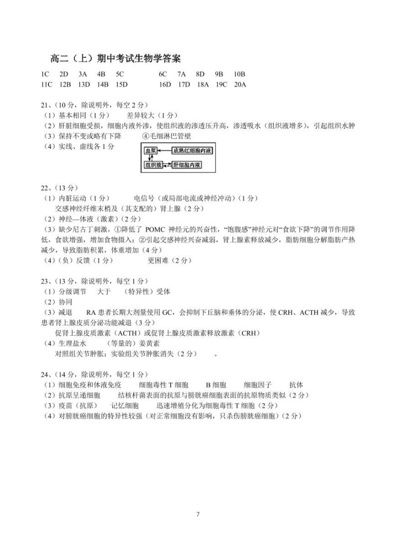 2024广东实验中学高二上学期期中考试生物PDF版含答案、答题卡（可编辑）01
