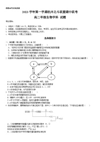 浙江省北斗联盟2023-2024学年高二上学期期中联考生物试题（Word版附答案）