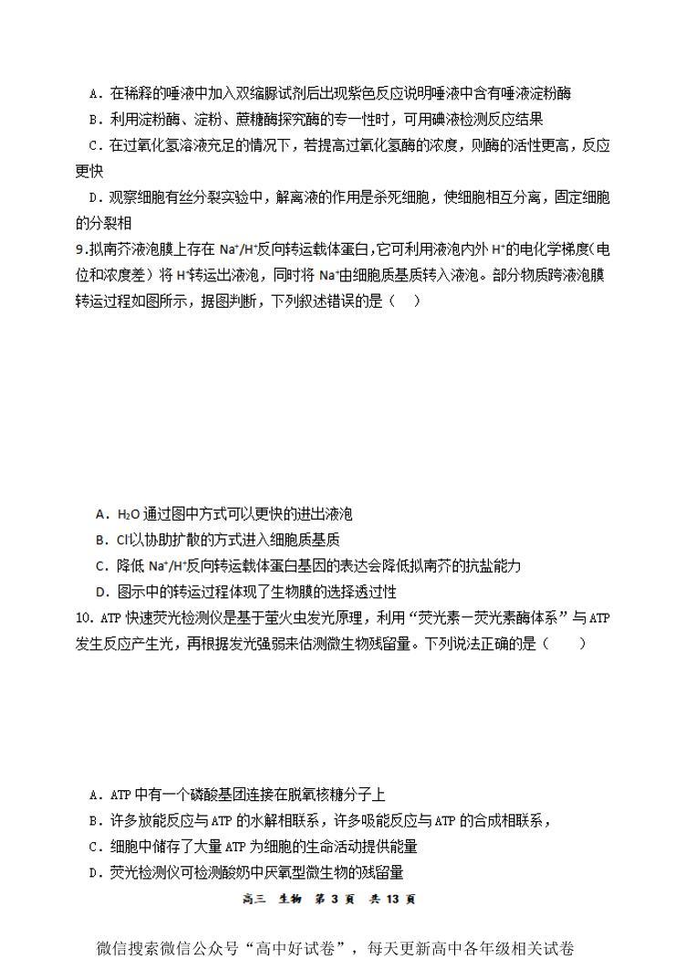 2023-2024河南省实验中学高三上期期中考试生物试卷03