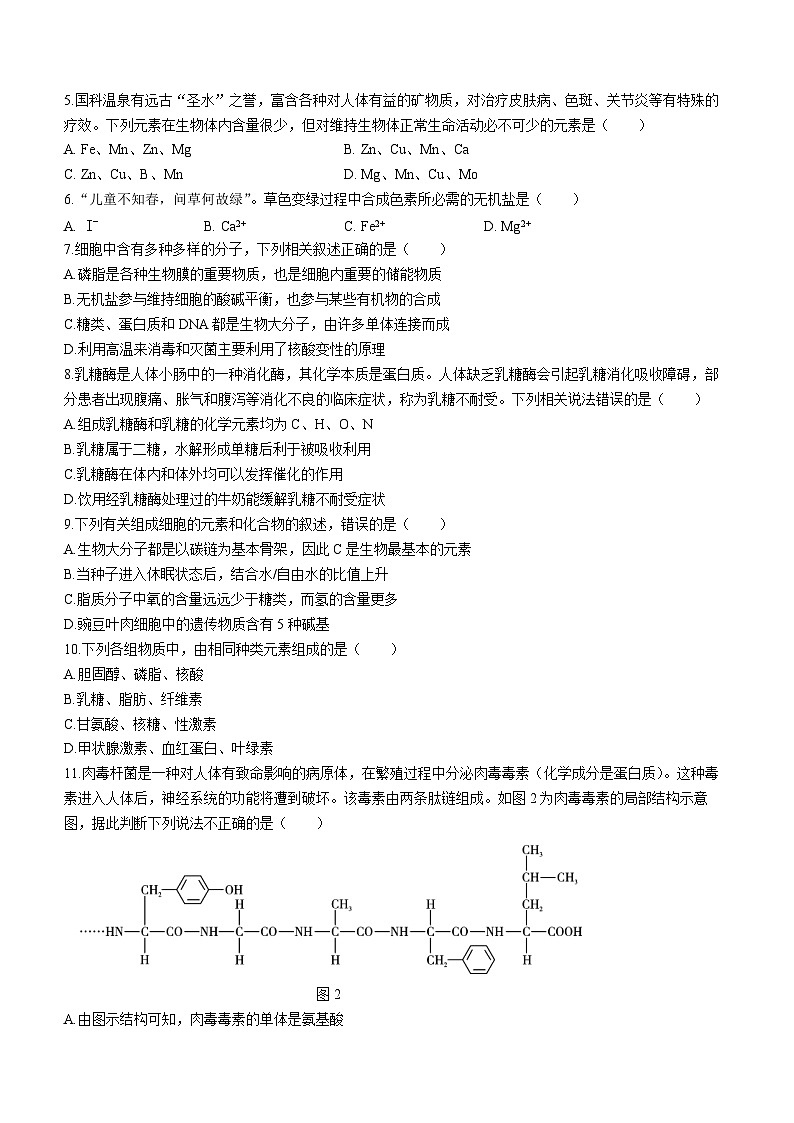 云南省下关第一中学2023-2024学年高一上学期期中生物试题(Word版附答案)第2页
