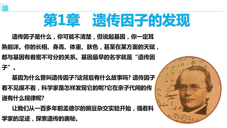 人教版高中生物必修二1.1孟德?tīng)柕耐愣闺s交實(shí)驗(yàn)（一）課件第1頁(yè)