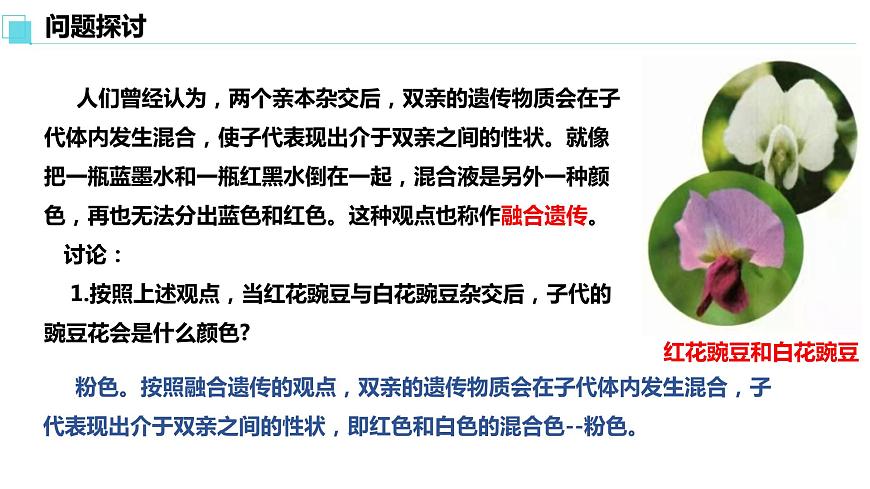人教版高中生物必修二1.1孟德?tīng)柕耐愣闺s交實(shí)驗(yàn)（一）課件第3頁(yè)
