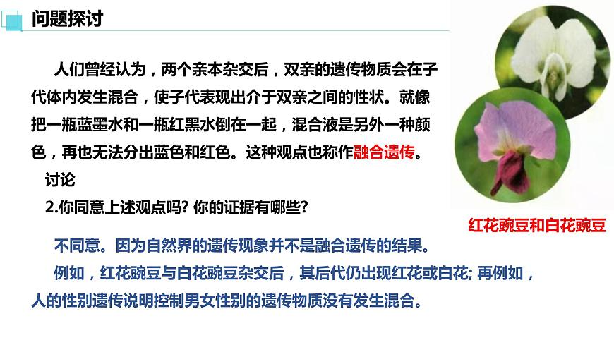 人教版高中生物必修二1.1孟德?tīng)柕耐愣闺s交實(shí)驗(yàn)（一）課件第4頁(yè)