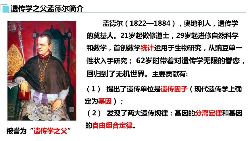 人教版高中生物必修二1.1孟德?tīng)柕耐愣闺s交實(shí)驗(yàn)（一）課件第5頁(yè)