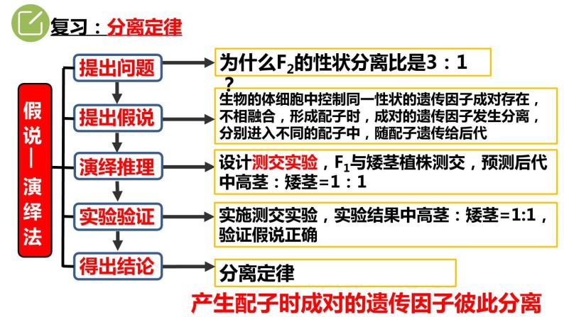 人教版高中生物必修二1.2孟德尔的豌豆杂交实验（二）课件+同步分层练习（含答案解析）01