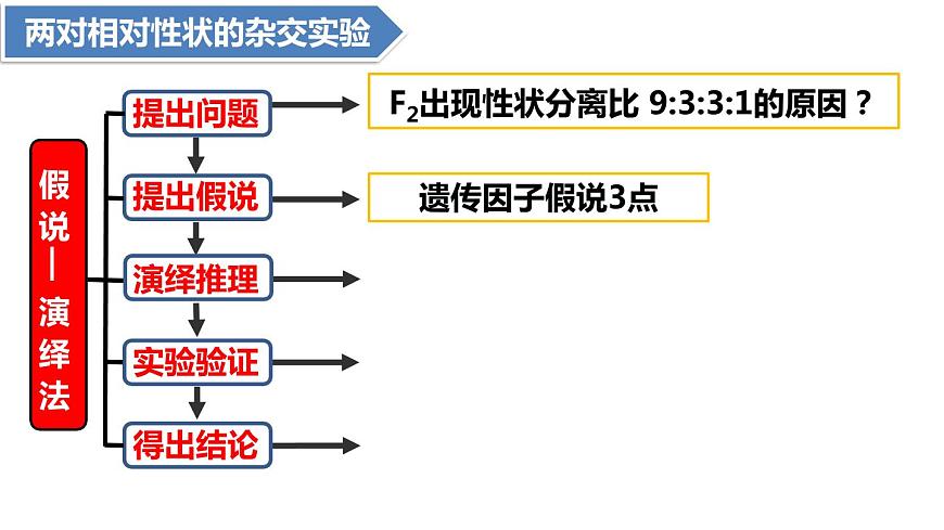 人教版高中生物必修二1.2孟德爾豌豆雜交實驗（二）課件.pptx第6頁