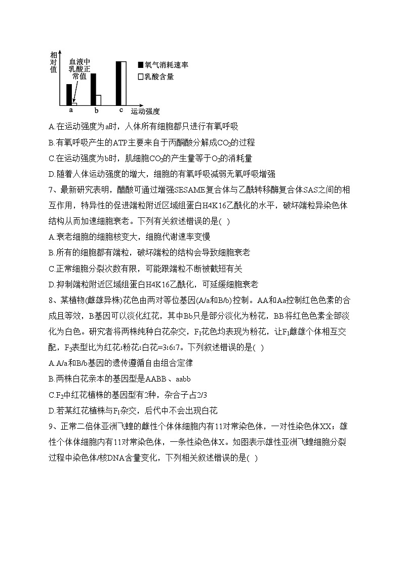 黑龙江省齐齐哈尔市普高联谊校2024届高三上学期期中考试生物试卷(含答案)第3页