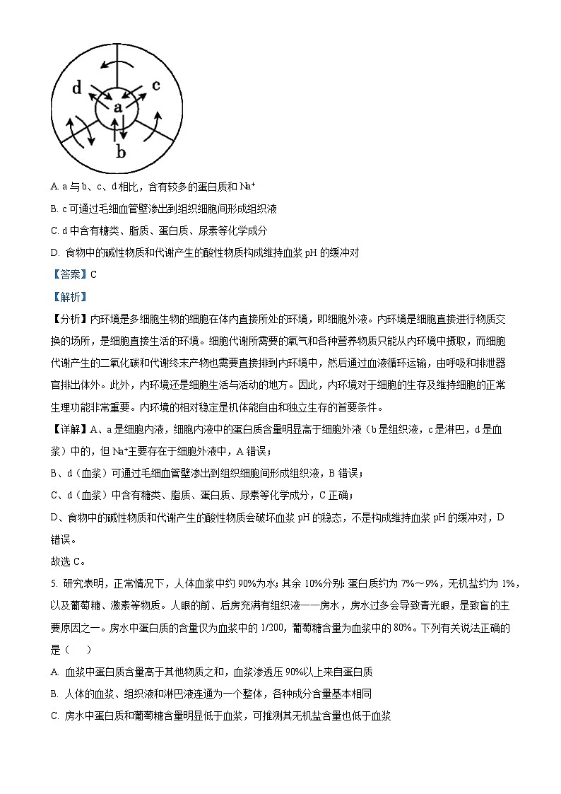 安徽省合肥六校2023-2024学年高二上学期期中联考生物试题(Word版附解析)第3页