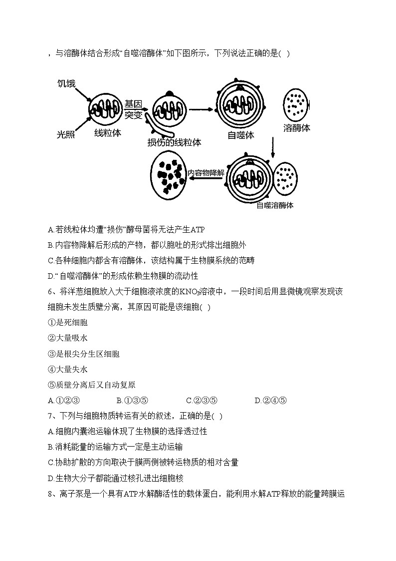 大同市云冈区汇林中学2024届高三上学期11月期中考试生物试卷(含答案)第2页
