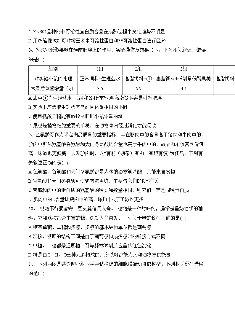 湖北省鄂东南省级示范高中学校2023-2024学年高一上学期期中联考生物试卷(含答案)第3页