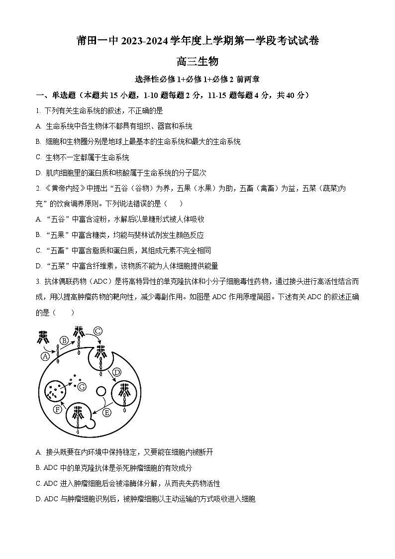 2024莆田一中高三上学期期中考试生物含解析第1页