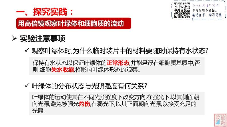 3.2 细胞器之间的分工合作(第二课时)课件05