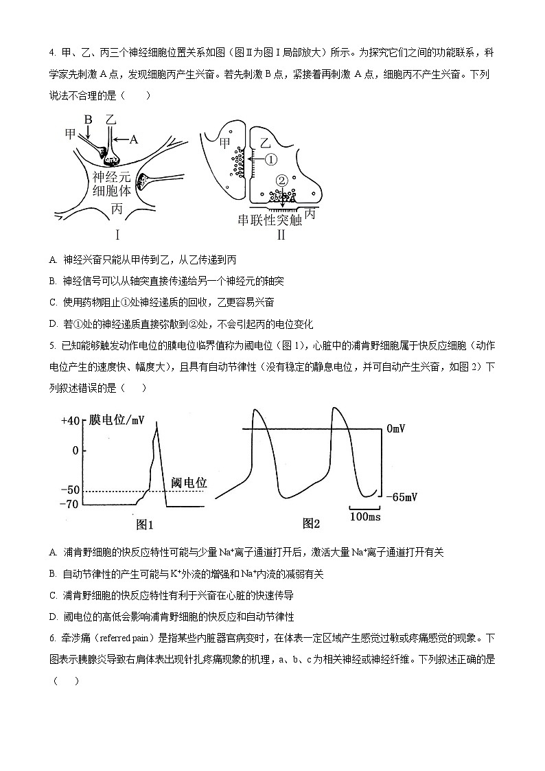 湖北省孝感市2023-2024学年高二11月期中生物试题无答案第2页
