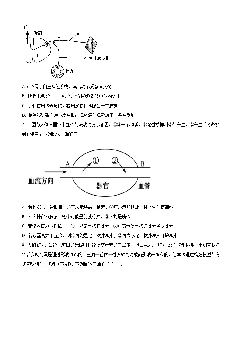 湖北省孝感市2023-2024学年高二11月期中生物试题无答案第3页