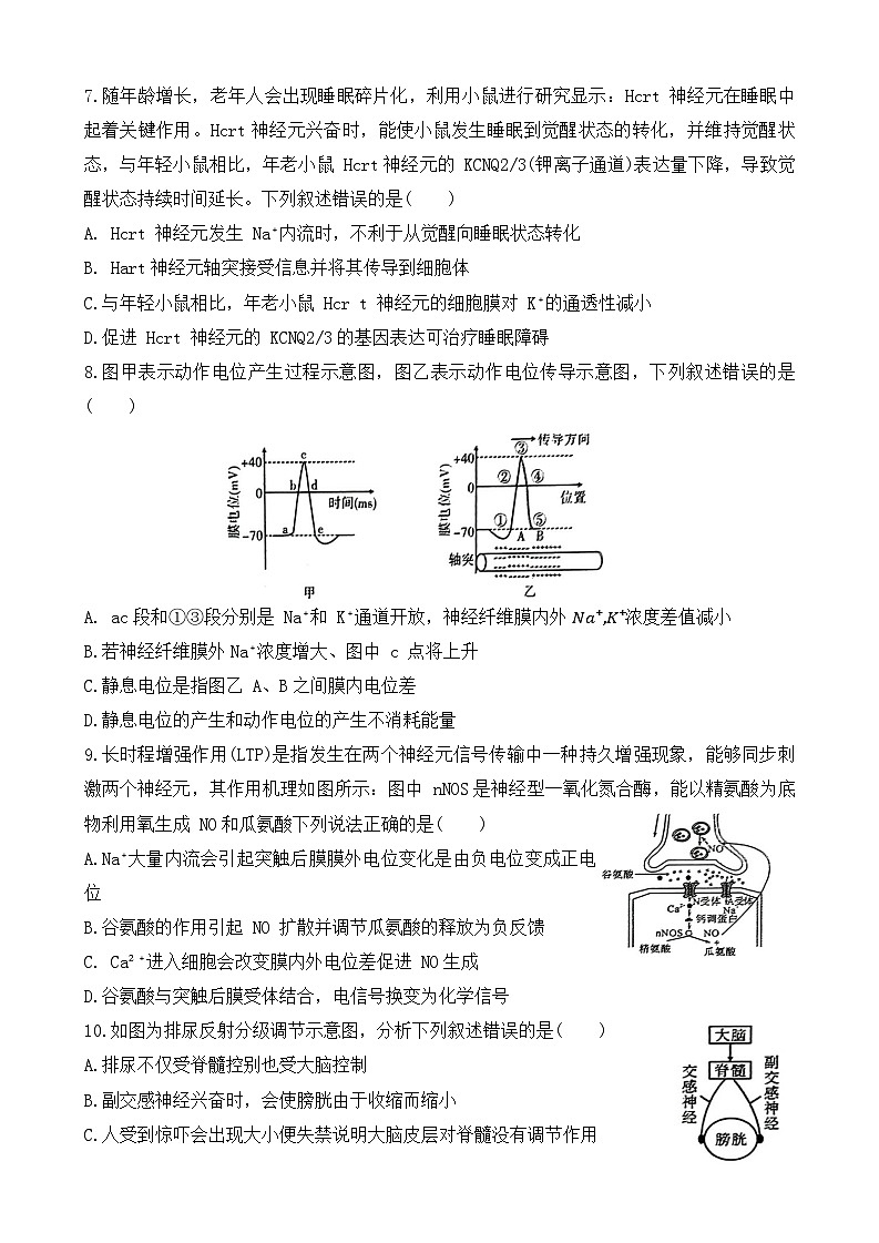 2024湖北省部分高中联考协作体高二上学期期中考试生物试题含答案03