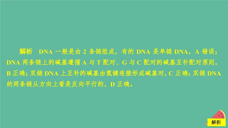 2023年新教材高中生物第3章基因的本质第2节DNA的结构课时精练课件新人教版必修2第5页