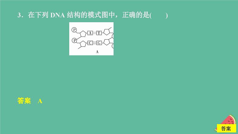 2023年新教材高中生物第3章基因的本质第2节DNA的结构课时精练课件新人教版必修2第6页
