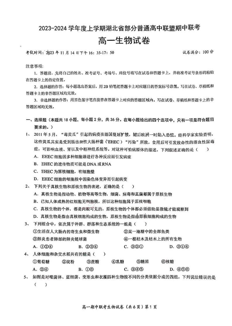 2024湖北省部分普通高中联盟高一上学期期中联考生物试卷PDF版含答案01