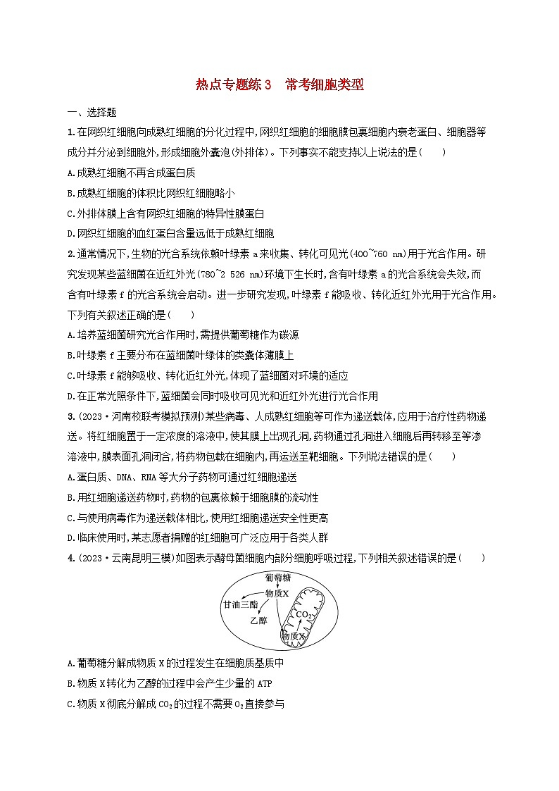 适用于新高考新教材2024版高考生物二轮复习热点专题练3常考细胞类型(附解析)第1页