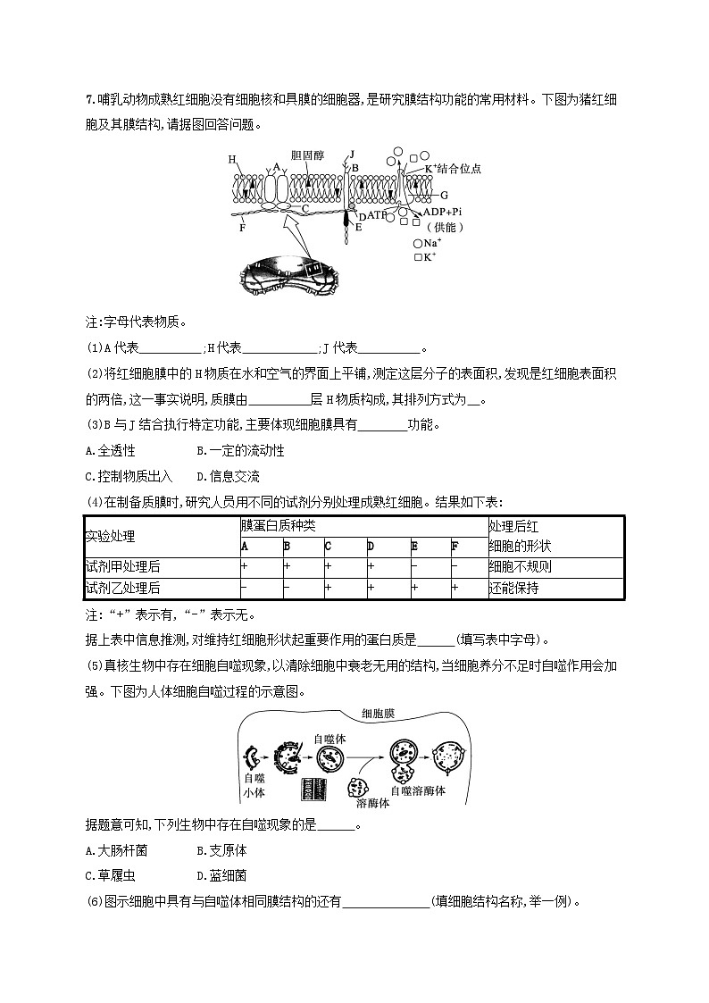 适用于新高考新教材2024版高考生物二轮复习热点专题练3常考细胞类型(附解析)第3页