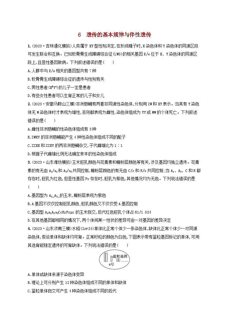 适用于新高考新教材2024版高考生物二轮复习知识对点小题练6遗传的基本规律与伴性遗传(附解析)第1页