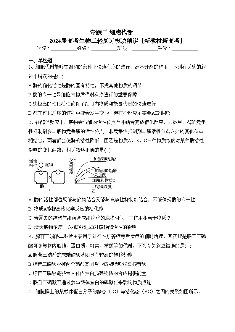 专题三 细胞代谢——2024届高考生物二轮复习模块精讲【新教材新高考】(含答案)第1页