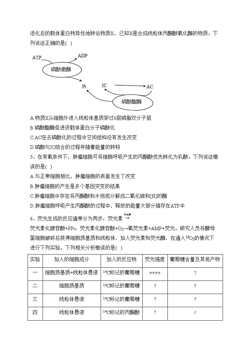 专题三 细胞代谢——2024届高考生物二轮复习模块精讲【新教材新高考】(含答案)第2页