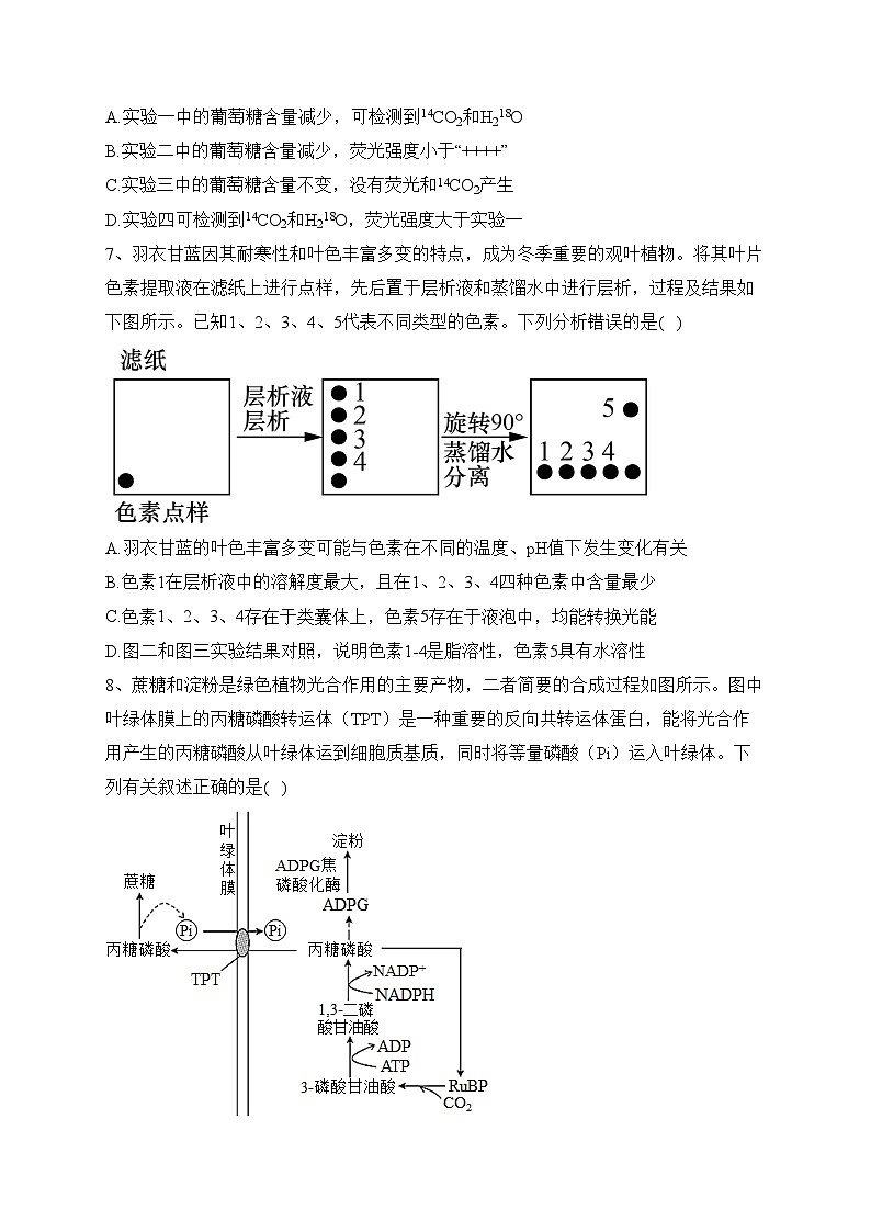 专题三 细胞代谢——2024届高考生物二轮复习模块精讲【新教材新高考】(含答案)第3页