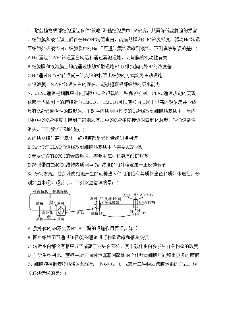 专题三 细胞的物质输入和输出——2024届高考生物二轮复习模块精练【旧教材通用版】(含答案)第2页