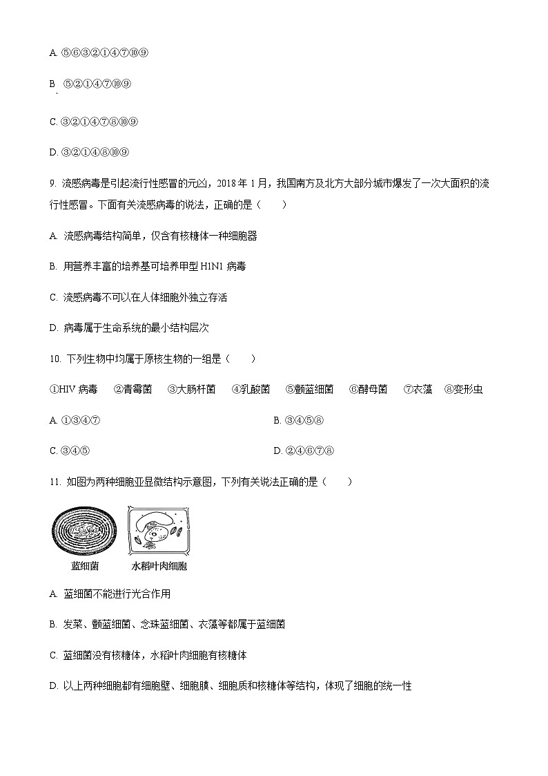 2023-2024学年重庆市璧山来凤中学高一上学期10月月考生物试题含答案03