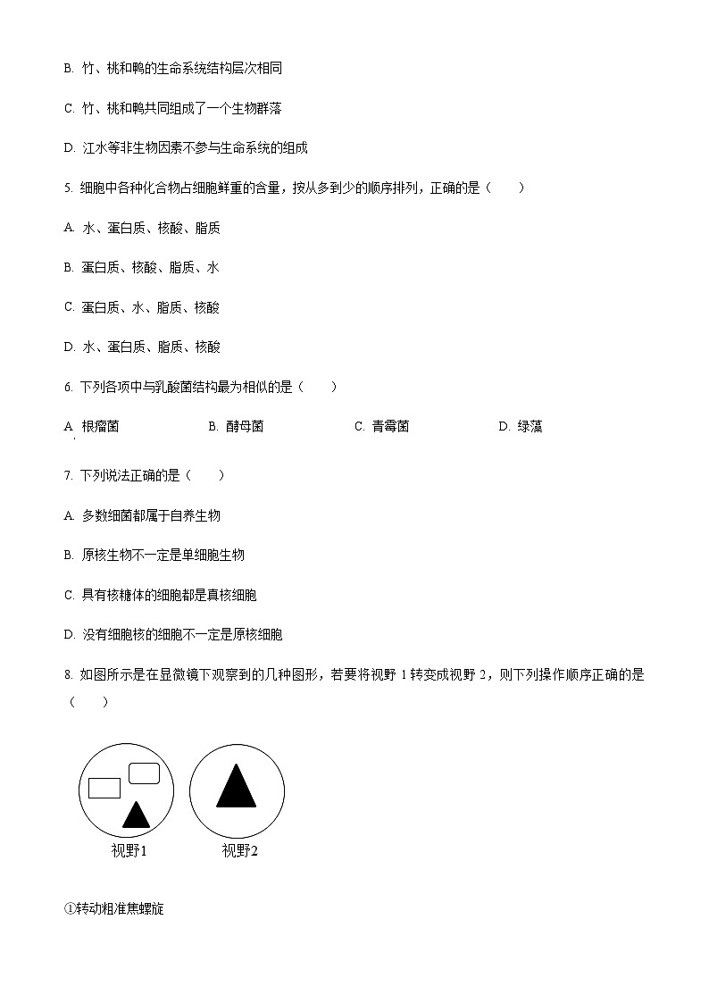 2023-2024学年吉林省东北师范大学附中高一上学期9月月考生物试题含答案02