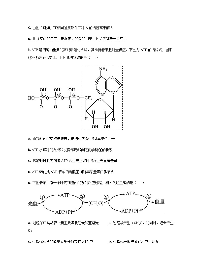 山东省潍坊高密市第三中学2023-2024学年高一上学期9月月考生物试题第3页