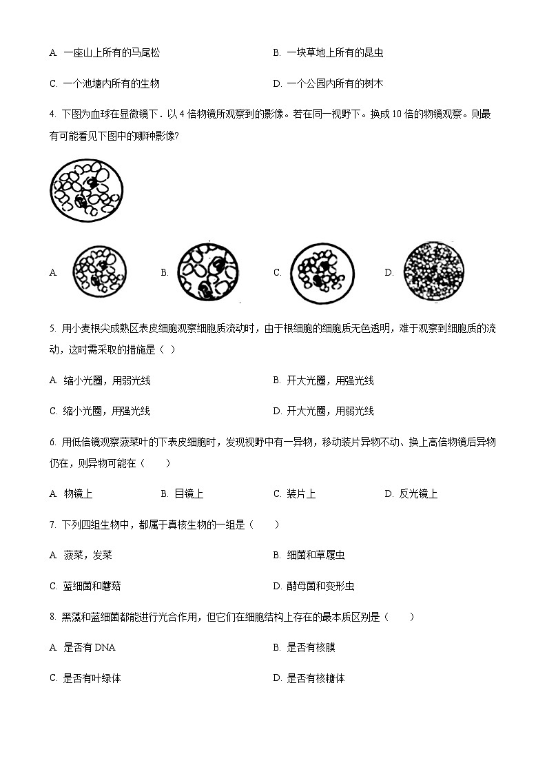 2023-2024学年四川省绵阳市三台中学高一上学期第一次月考生物试题含答案02