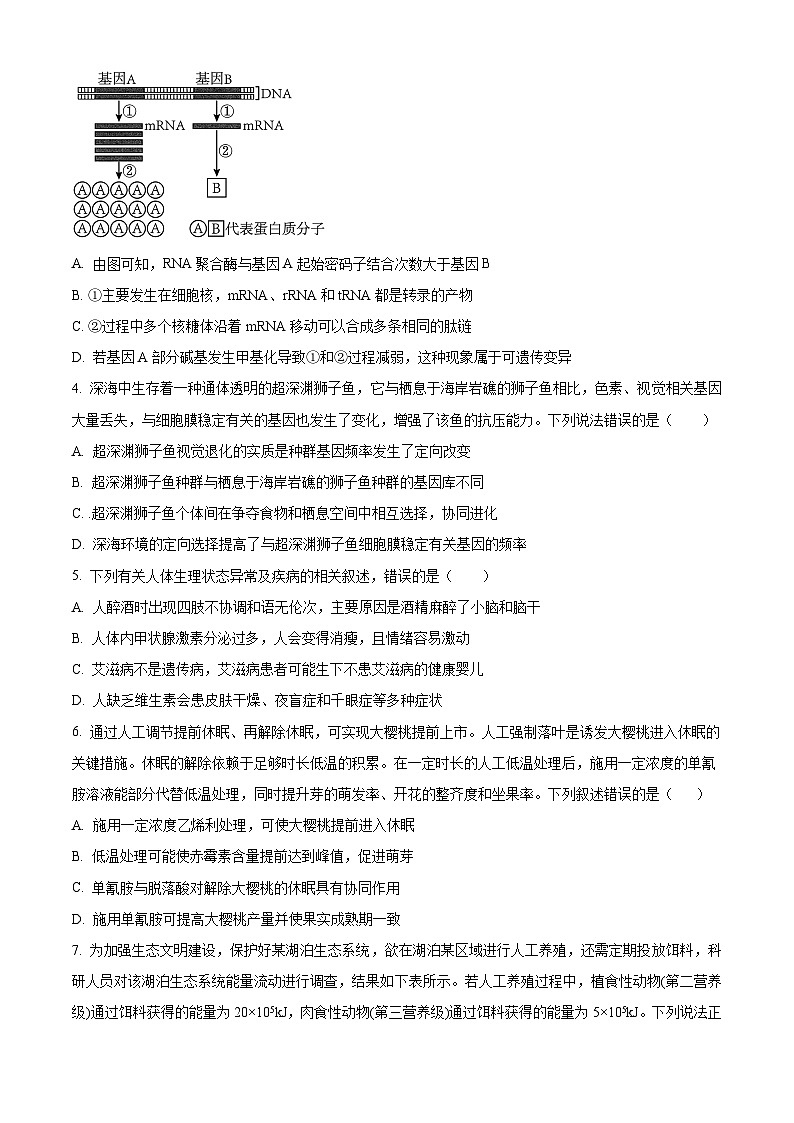 精品解析:广东省东莞中学、广州二中、惠州一中等六校联考2023-2024学年高三11月期中生物试题(原卷版)第2页