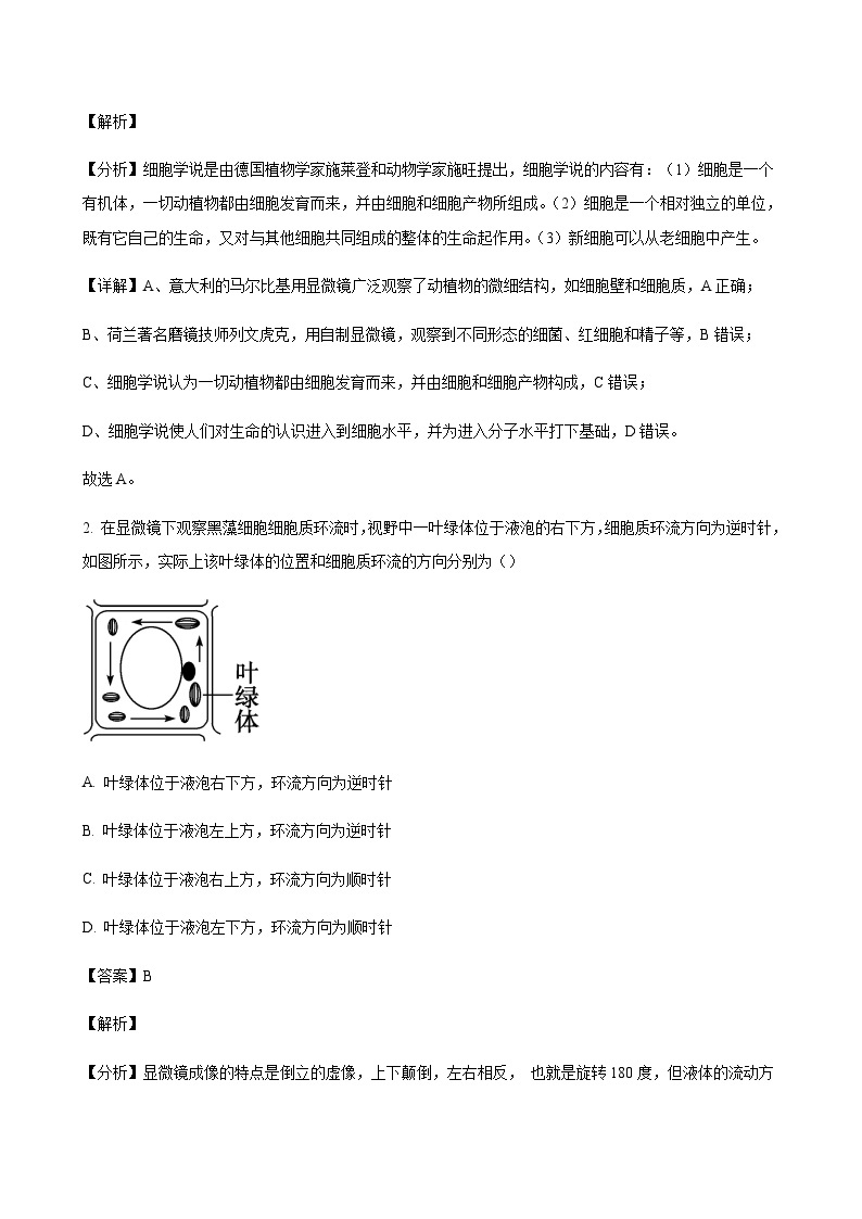 2023-2024学年广东省阳江市高一上学期10月期中考试生物含答案02