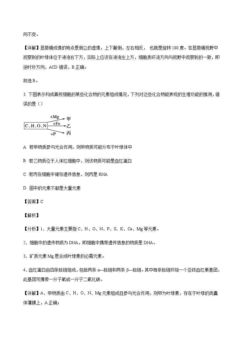 2023-2024学年广东省阳江市高一上学期10月期中考试生物含答案03