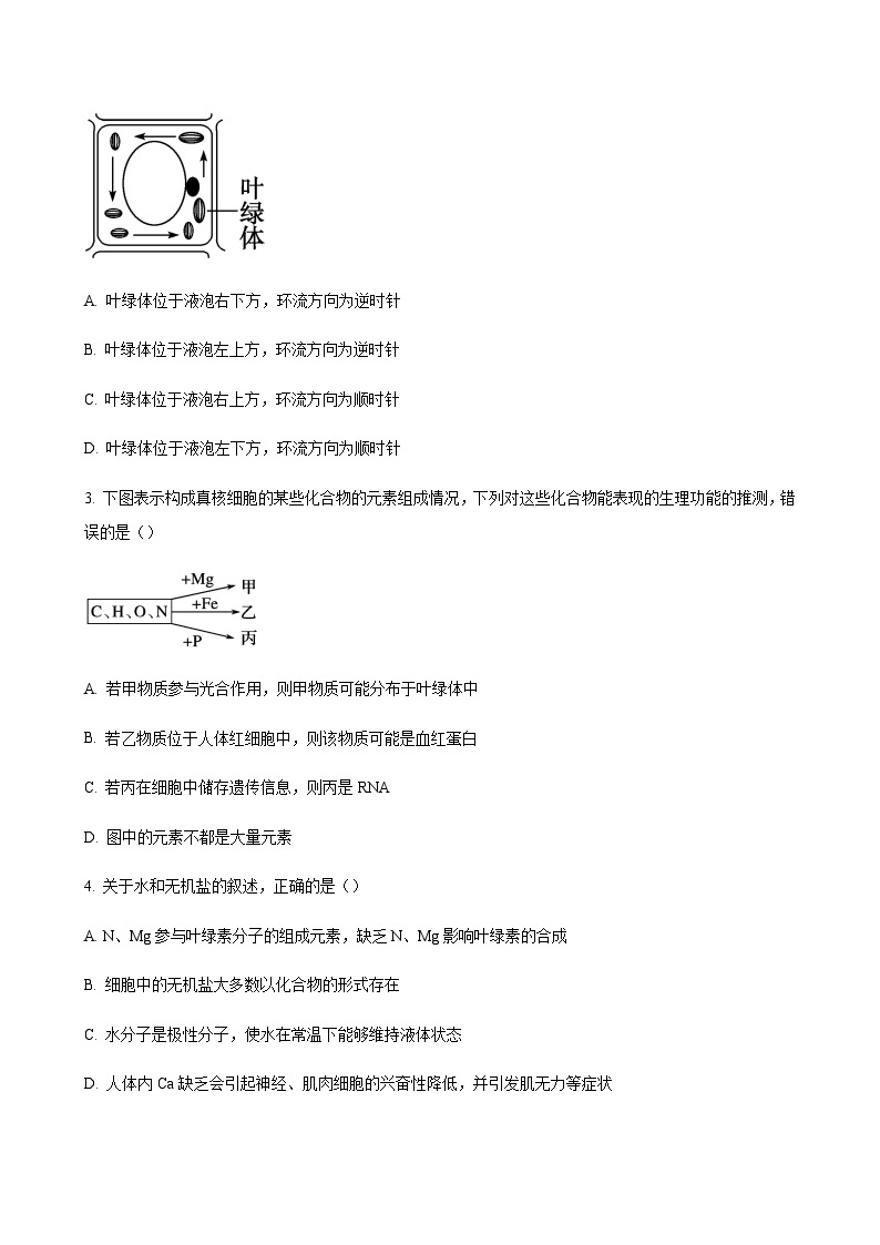 2023-2024学年广东省阳江市高一上学期10月期中考试生物含答案02