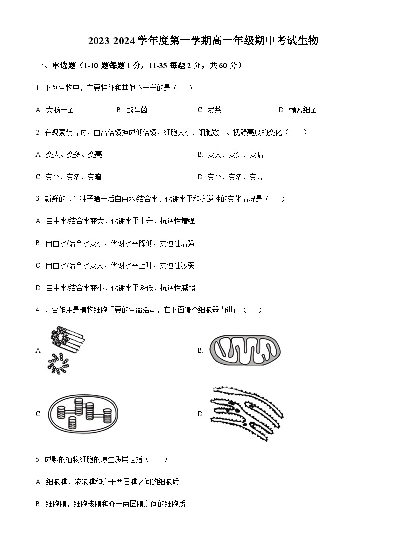 2023-2024学年江苏省南通市海安高级中学高一上学期期中考试生物含答案01