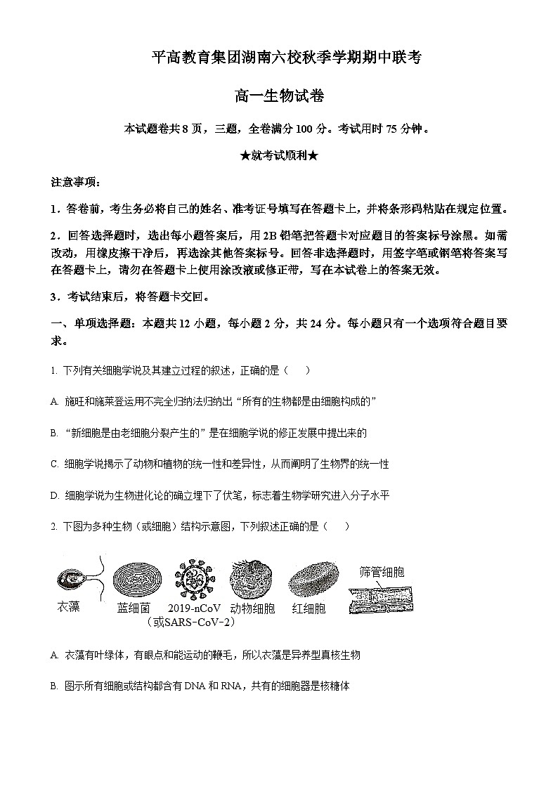 湖南省长沙市平高集团六校2023-2024学年高一上学期期中联考生物试题(原卷版)第1页