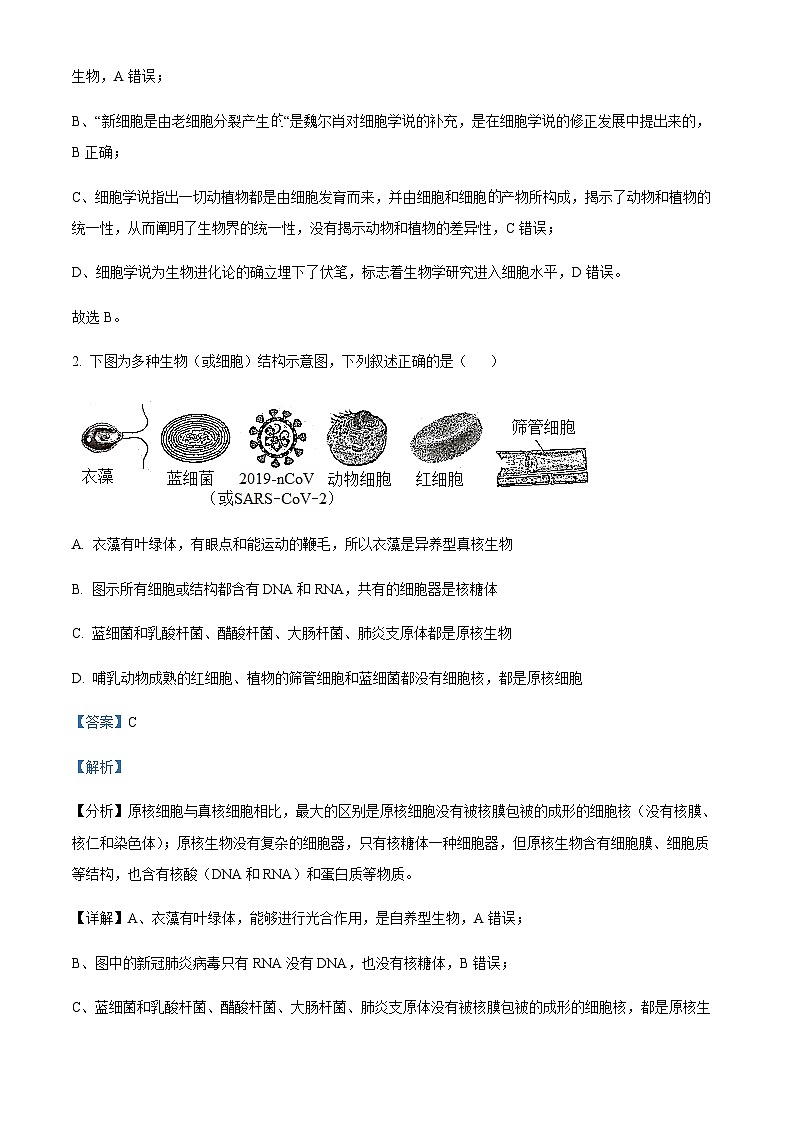 湖南省长沙市平高集团六校2023-2024学年高一上学期期中联考生物试题(解析版)第2页